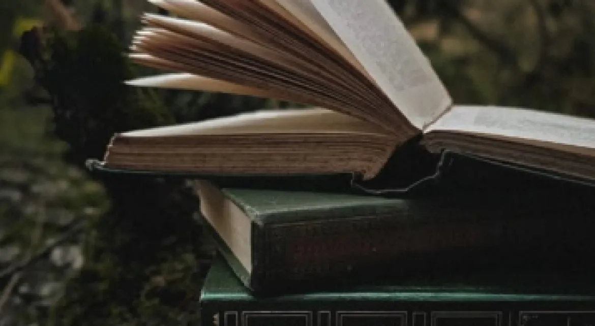 image representing a book